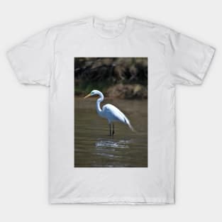 Green eyed Egret T-Shirt